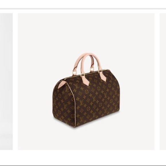 Louis Vuitton SPEEDY 30 - Picture 1 of 13